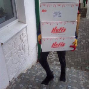 Așteptăm cu drag pe Moș Crăciun!!!