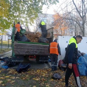 Salubrizarea teritoriului continuă cu evacuarea frunzelor de pe teritoriul instituției și cel adiacent!